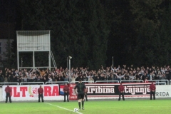 HŠK Zrinjski - NK Čelik 03.11.2010